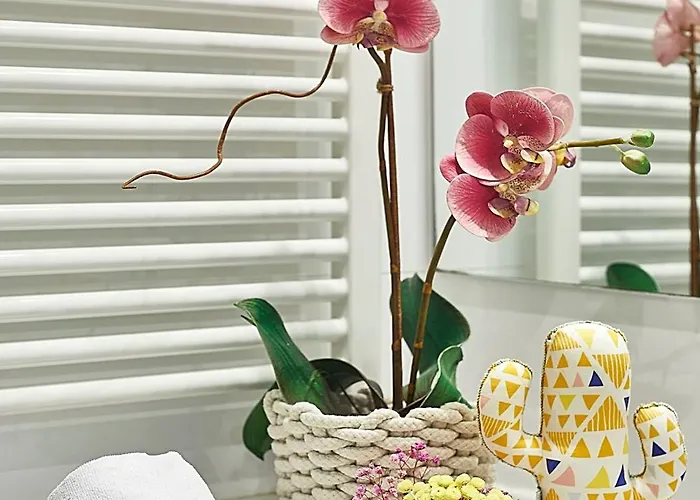 Apartment Bbarcelona Brusi Flat *